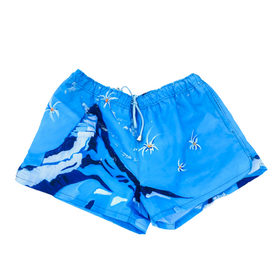 Zermatt Swim Shorts